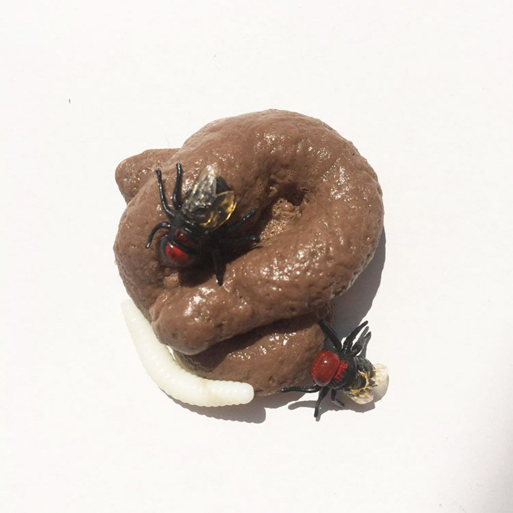Prank Realistic Fake Shit Toys - Fake Poop Gag Gift review and price
